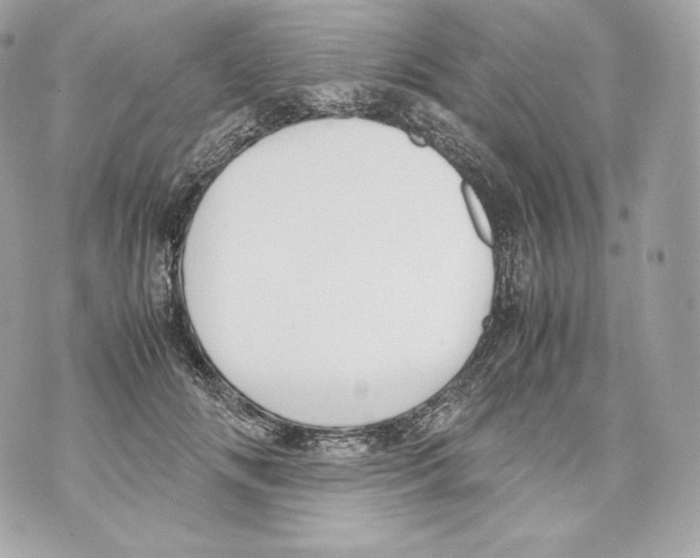 X0000070380702200607072154