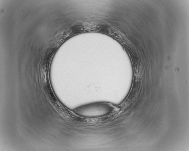 X0000070380703200607072154