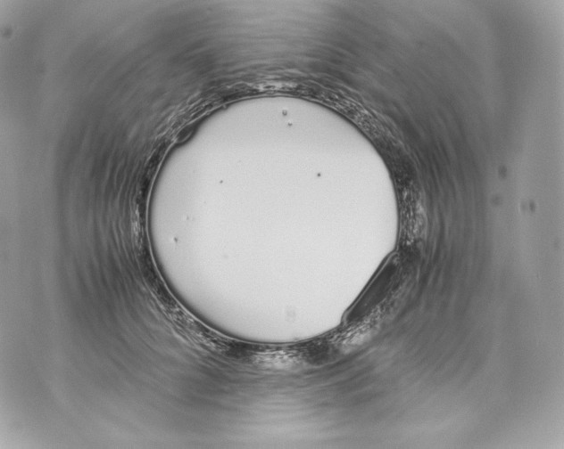 X0000070380704200607072154