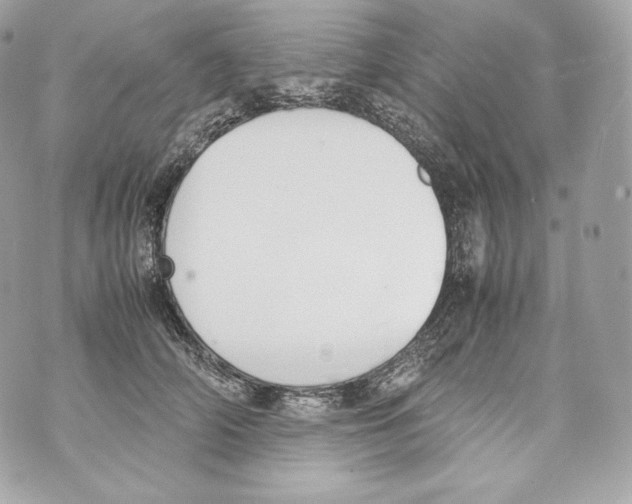 X0000070380706200607072154