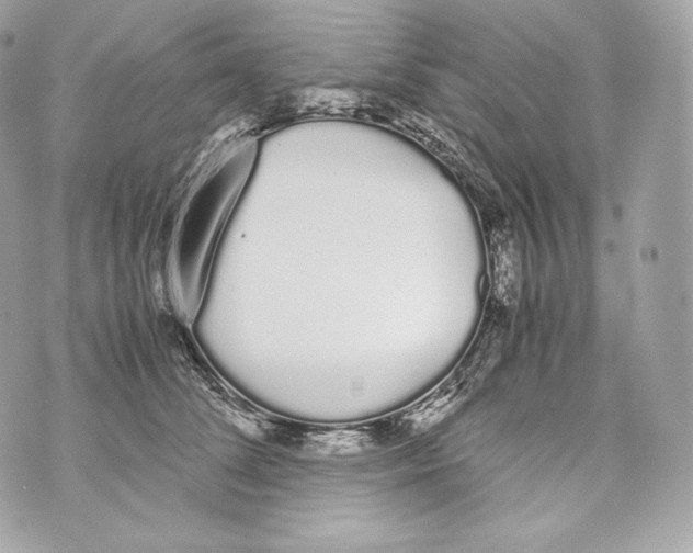 X0000070380708200607072154