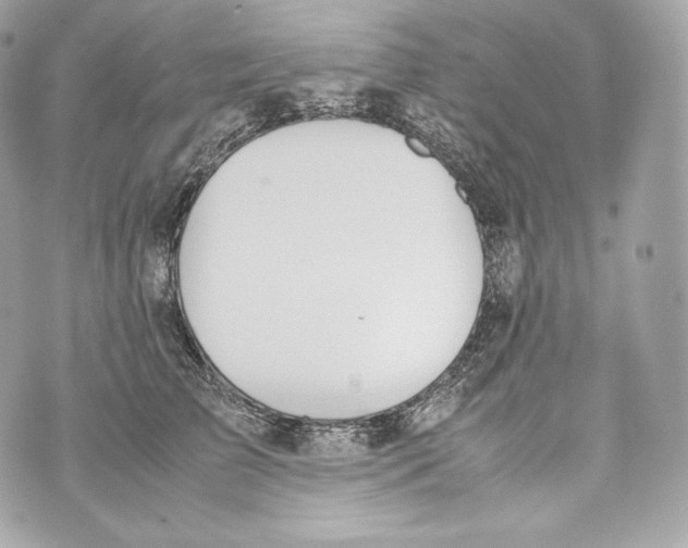 X0000070380709200607072154