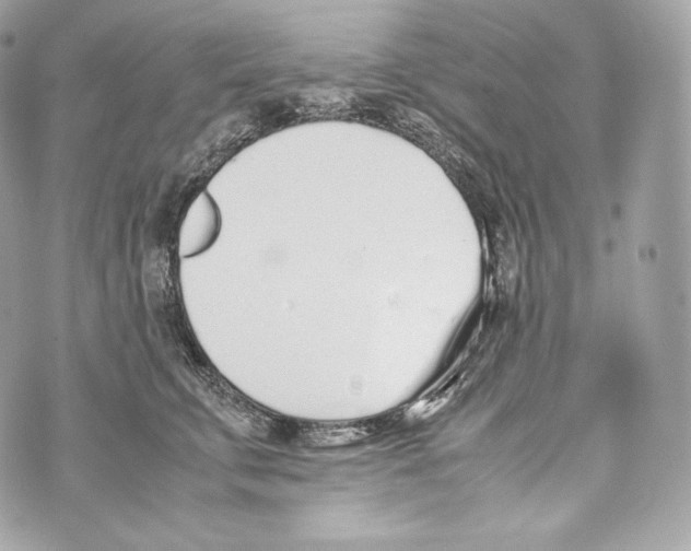 X0000070380711200607072154