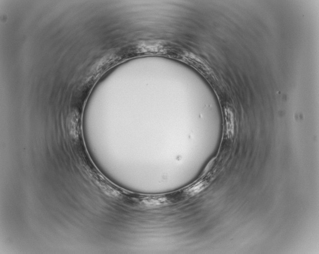 X0000070380712200607072154