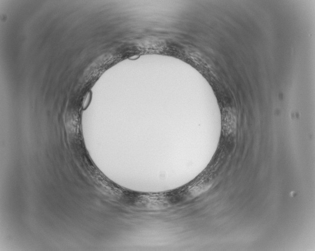 X0000070380713200607072154