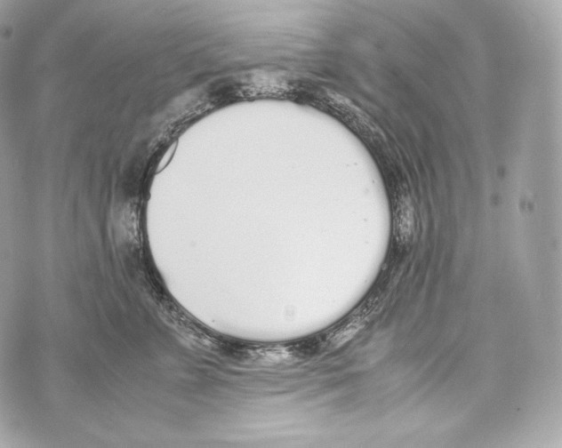 X0000070380715200607072154