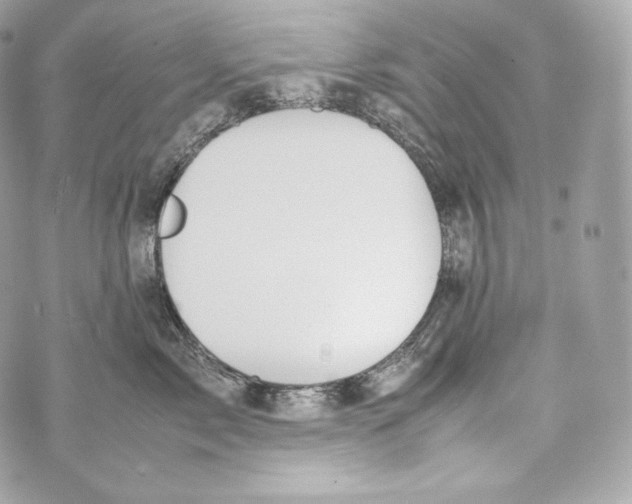 X0000070380717200607072154