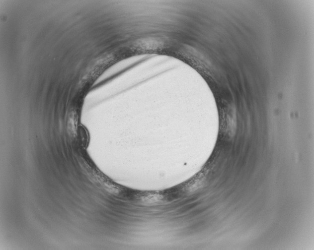 X0000070380718200607072154