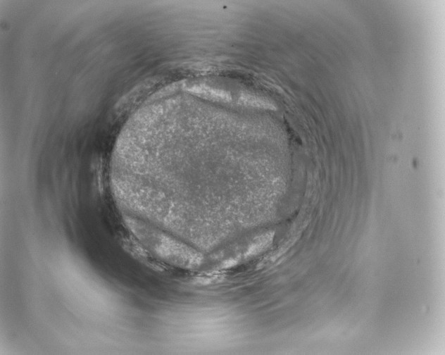 X0000070380720200607072154