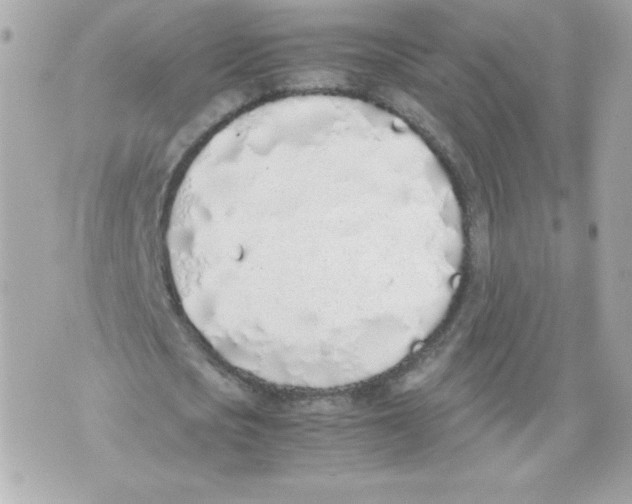 X0000070380721200607072153