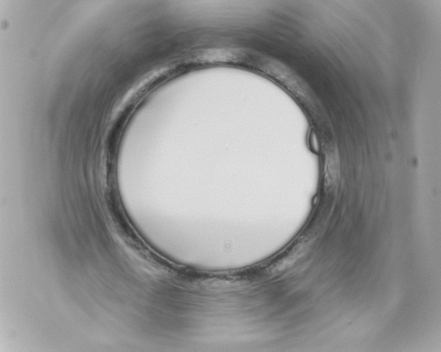 X0000070380722200607072153