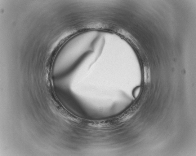 X0000070380723200607072153