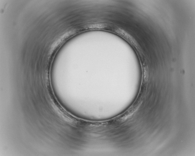 X0000070380725200607072153