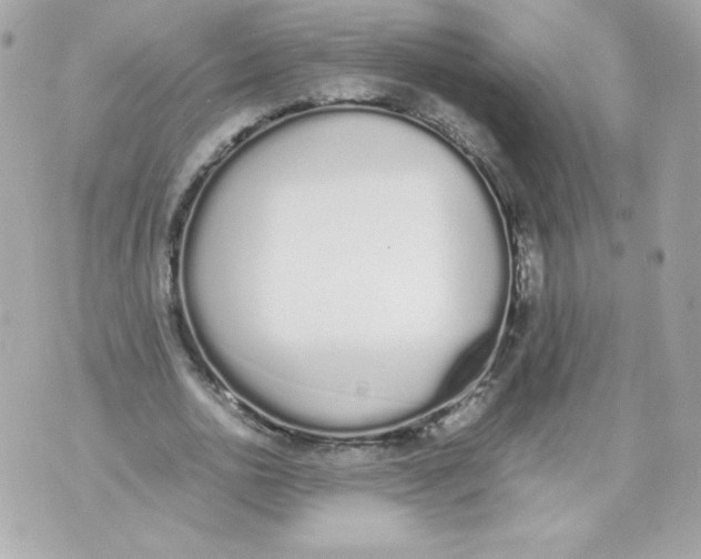 X0000070380726200607072153