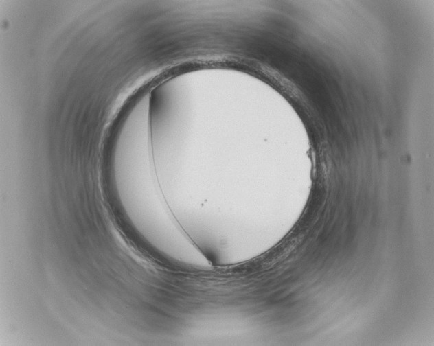 X0000070380728200607072153