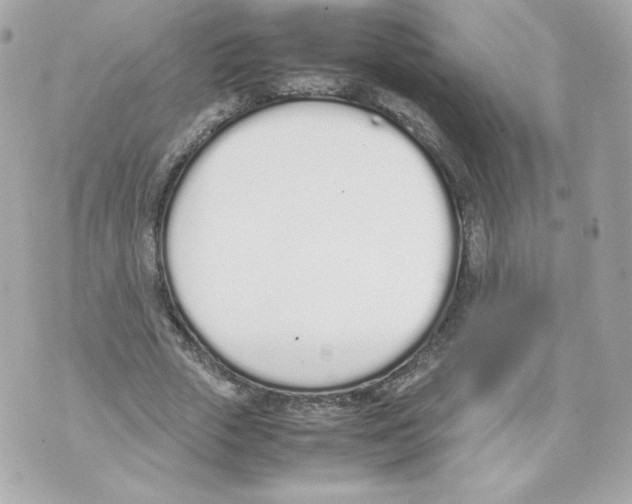 X0000070380729200607072153