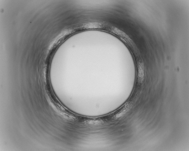 X0000070380730200607072153