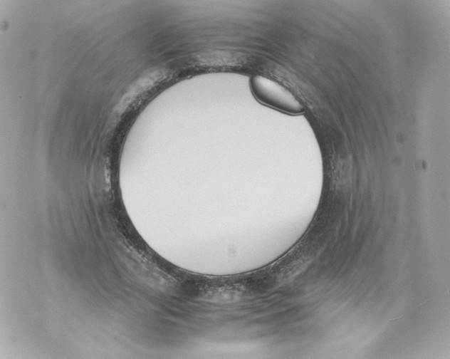 X0000070380731200607072153