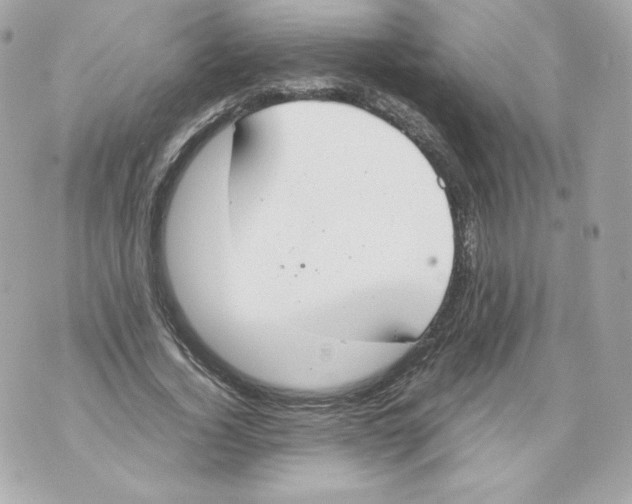 X0000070380732200607072153