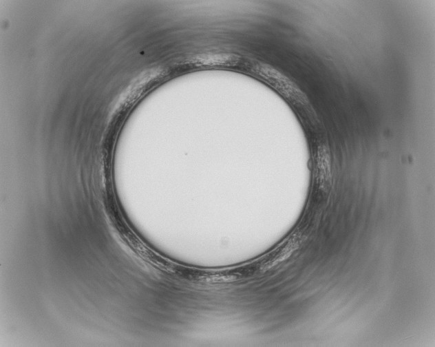 X0000070380734200607072153