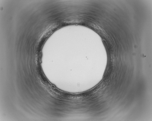 X0000070380735200607072153