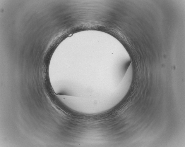 X0000070380736200607072153