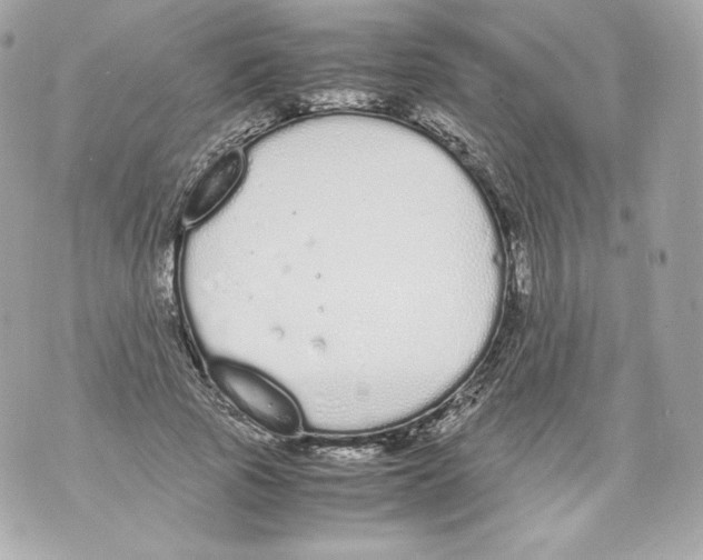 X0000070380737200607072153