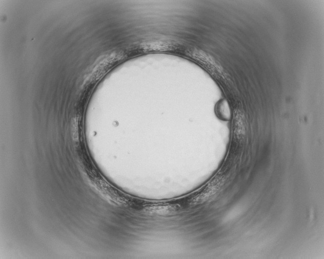 X0000070380738200607072153