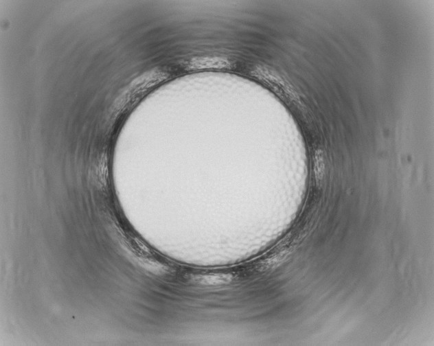 X0000070380741200607072153