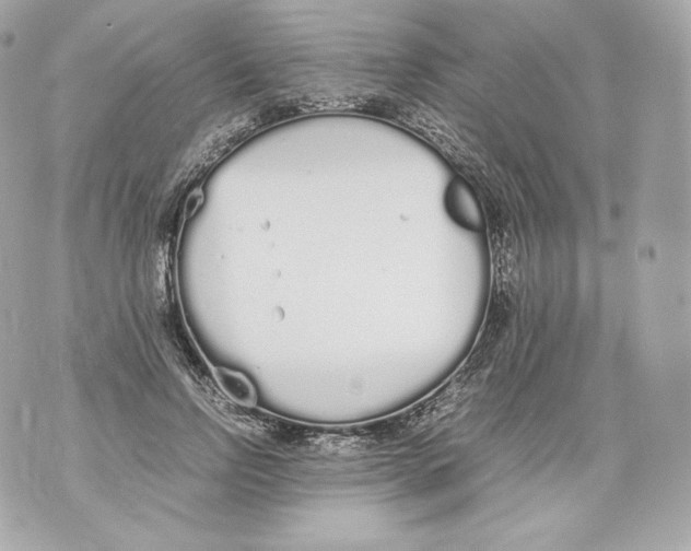 X0000070380742200607072153