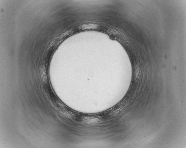 X0000070380743200607072153