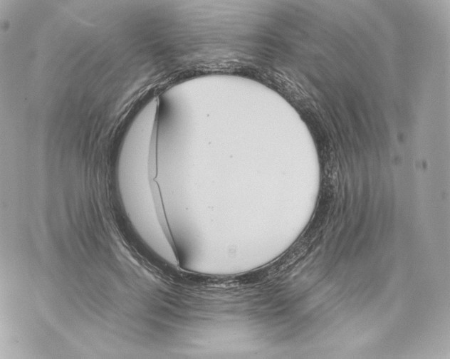 X0000070380744200607072153