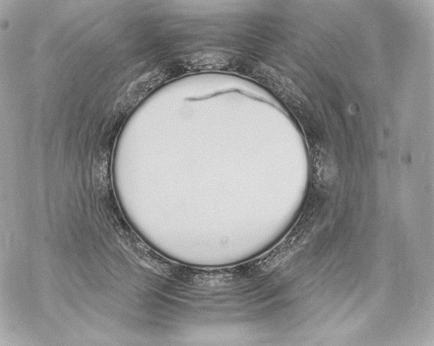 X0000070380745200607072153