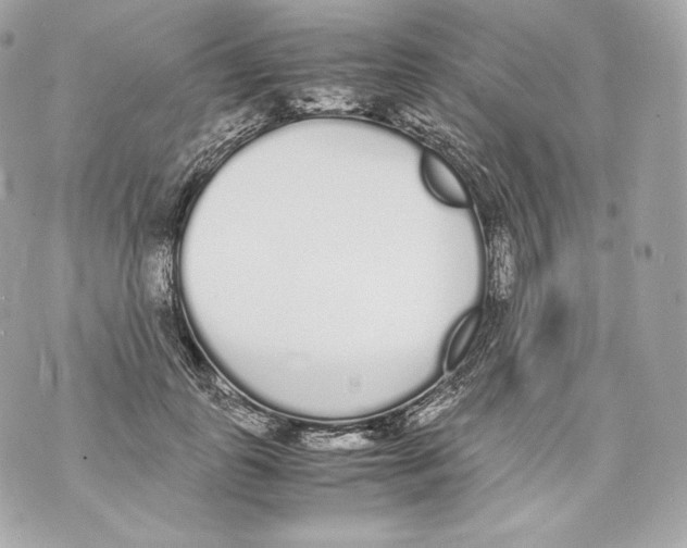 X0000070380747200607072153