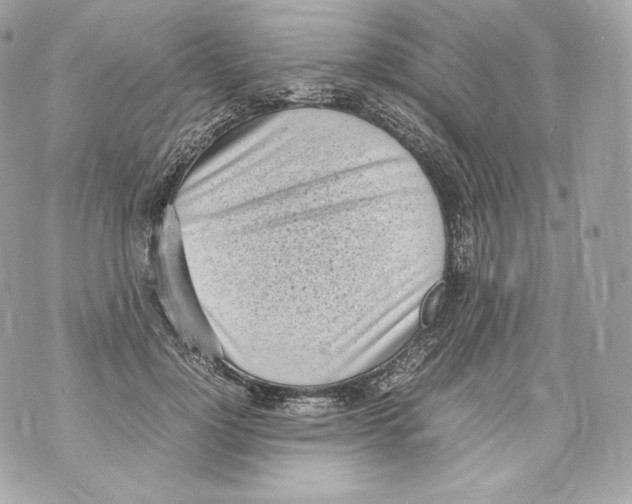 X0000070380748200607072153