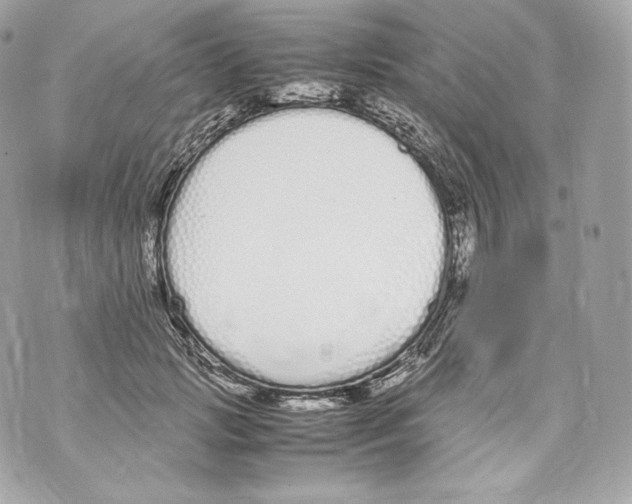 X0000070380749200607072153