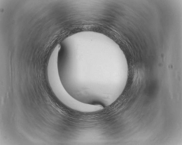 X0000070380750200607072153