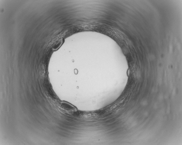 X0000070380752200607072153