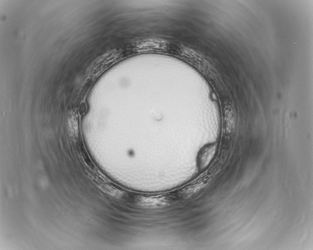 X0000070380753200607072153