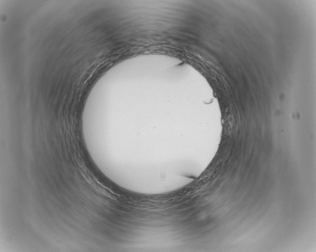 X0000070380756200607072154