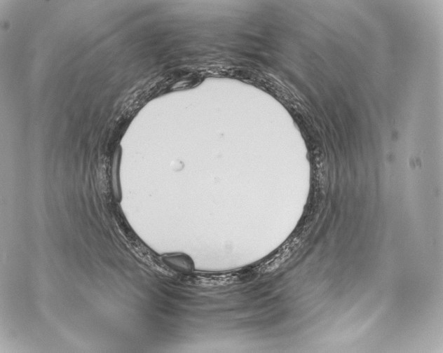 X0000070380757200607072154