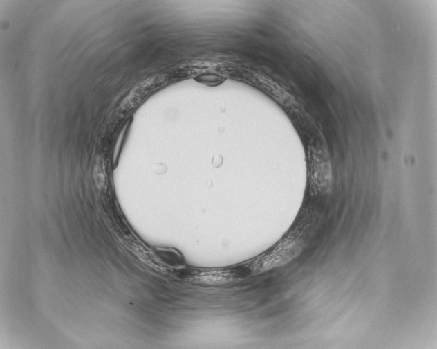 X0000070380758200607072154