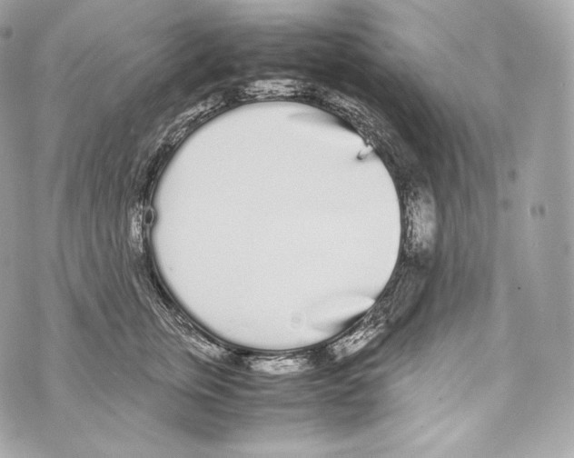 X0000070380759200607072154