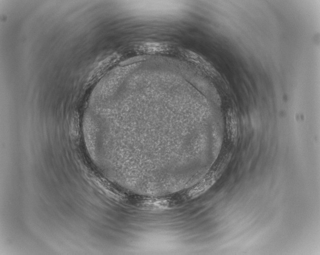 X0000070380760200607072154