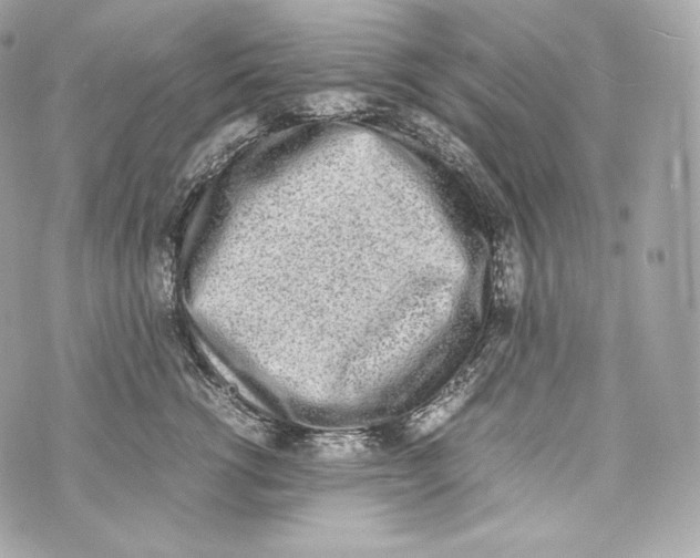 X0000070380762200607072154