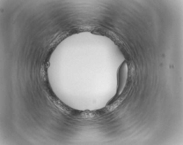 X0000070380764200607072154