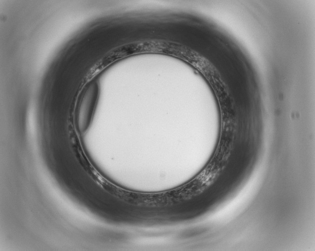 X0000070380765200607072154