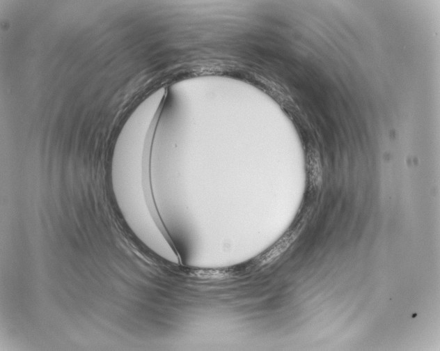 X0000070380766200607072154