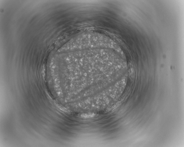 X0000070380767200607072154