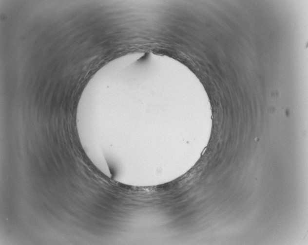 X0000070380768200607072154